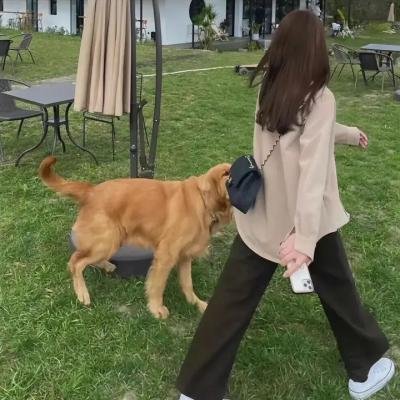 危险性游戏3